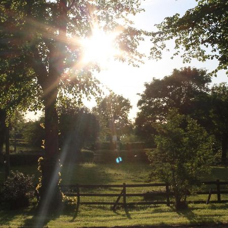 The Jockey Room Hideaway Spurstow Buitenkant foto