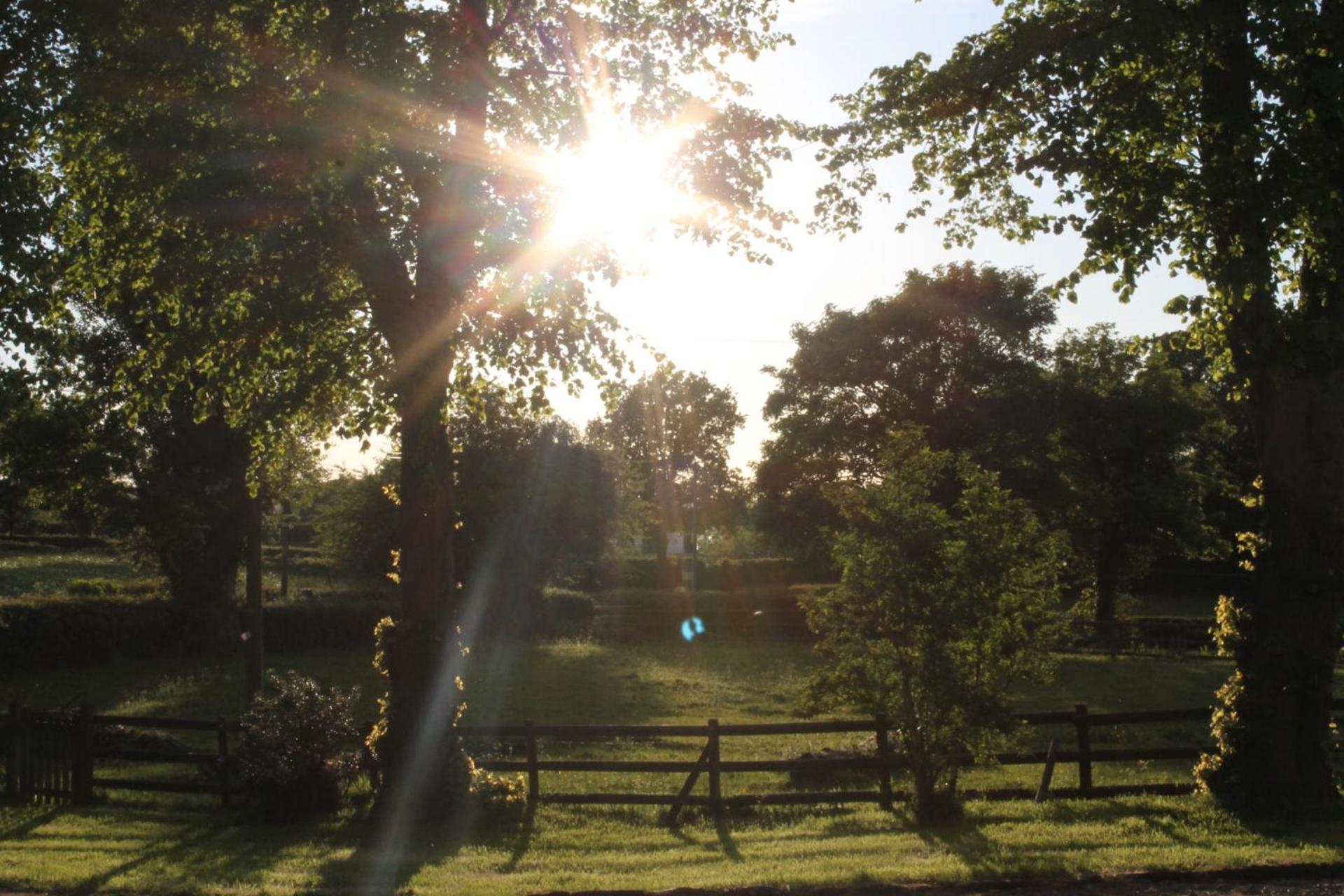 The Jockey Room Hideaway Spurstow Buitenkant foto