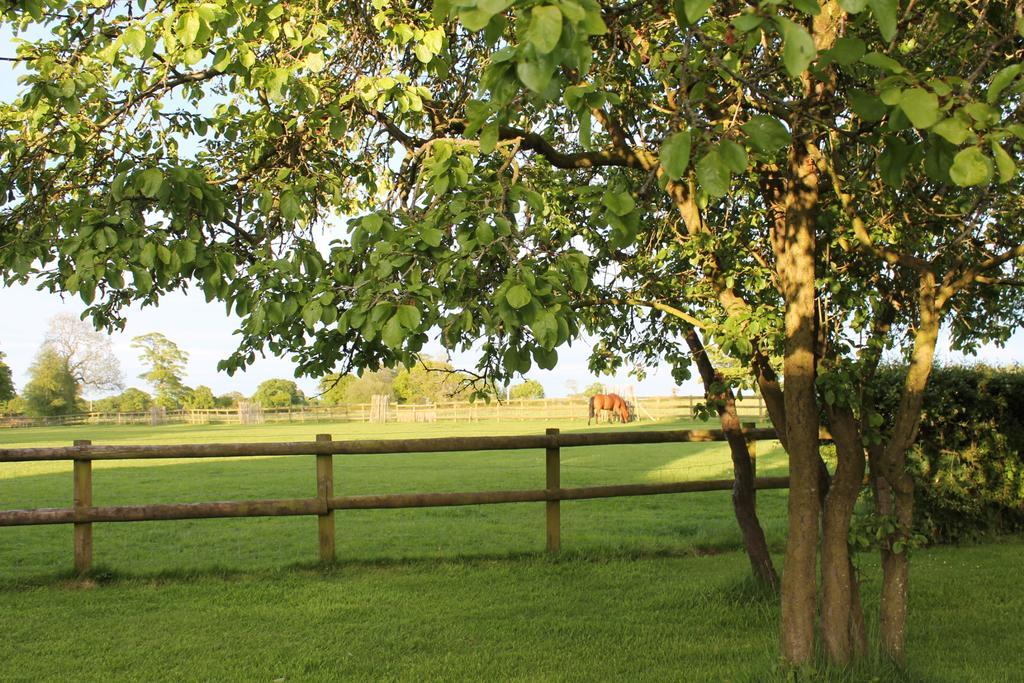 The Jockey Room Hideaway Spurstow Buitenkant foto